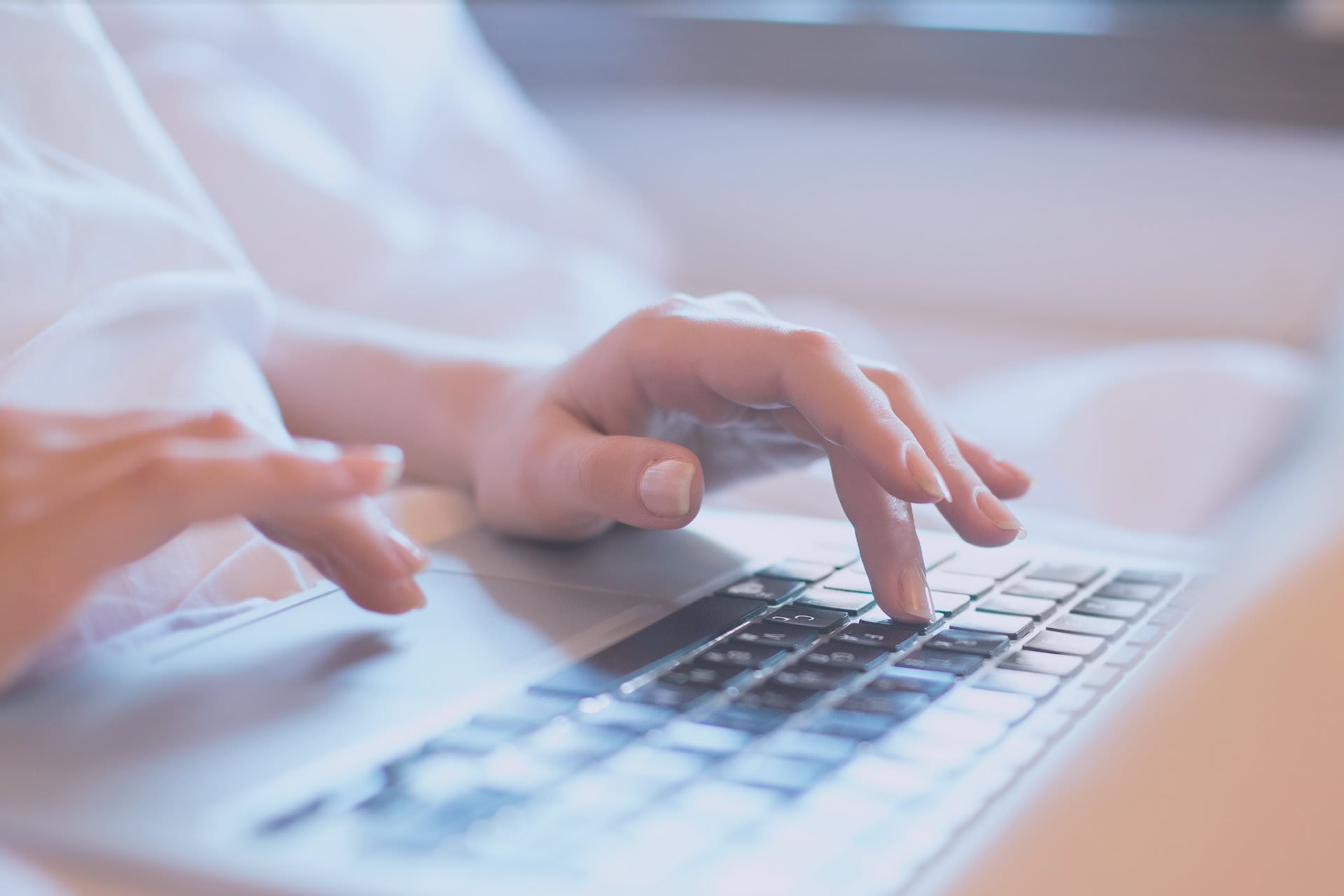 Web WordPress alojada y optimizada en VisualTec HOST