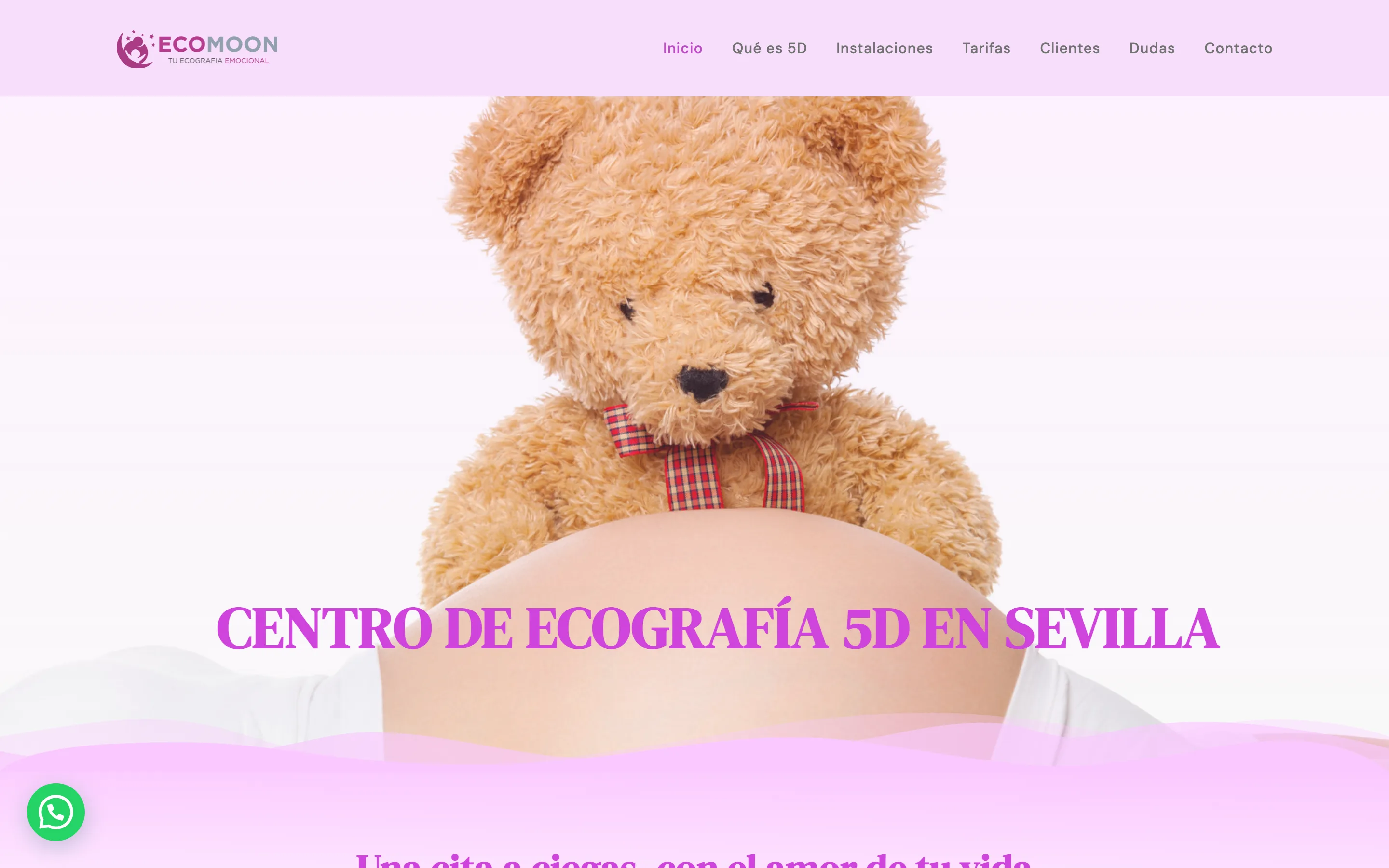 Diseño web de Ecomoon 5D creado por VisualTec HOST